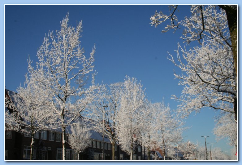 Arnhem Snow 169